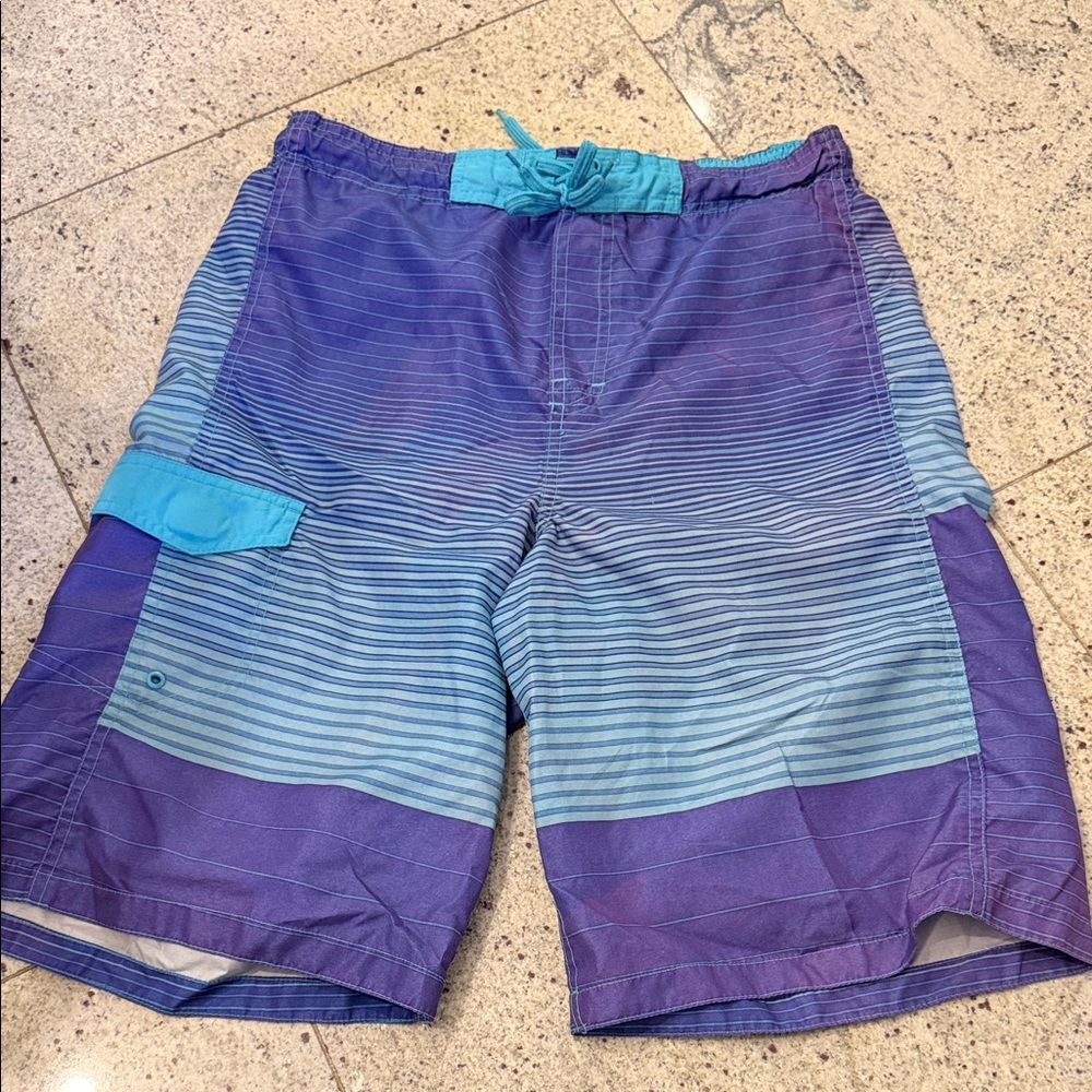 Men's Blue Ombre Stripe Swim Trunks